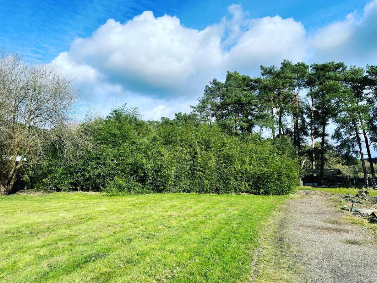 The Bearded Goat Den - A Rural Retreat At This Modern Holiday Cottage Saint Leonards Exterior foto